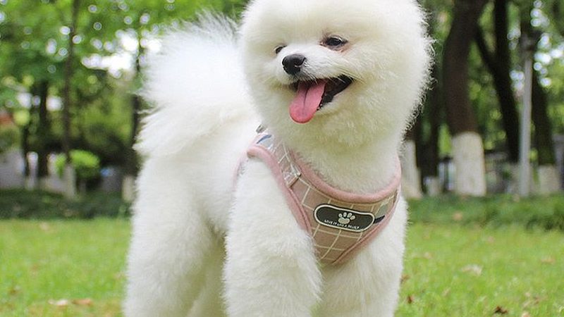 气调库与冷库：制冷设备背后的差异解析
